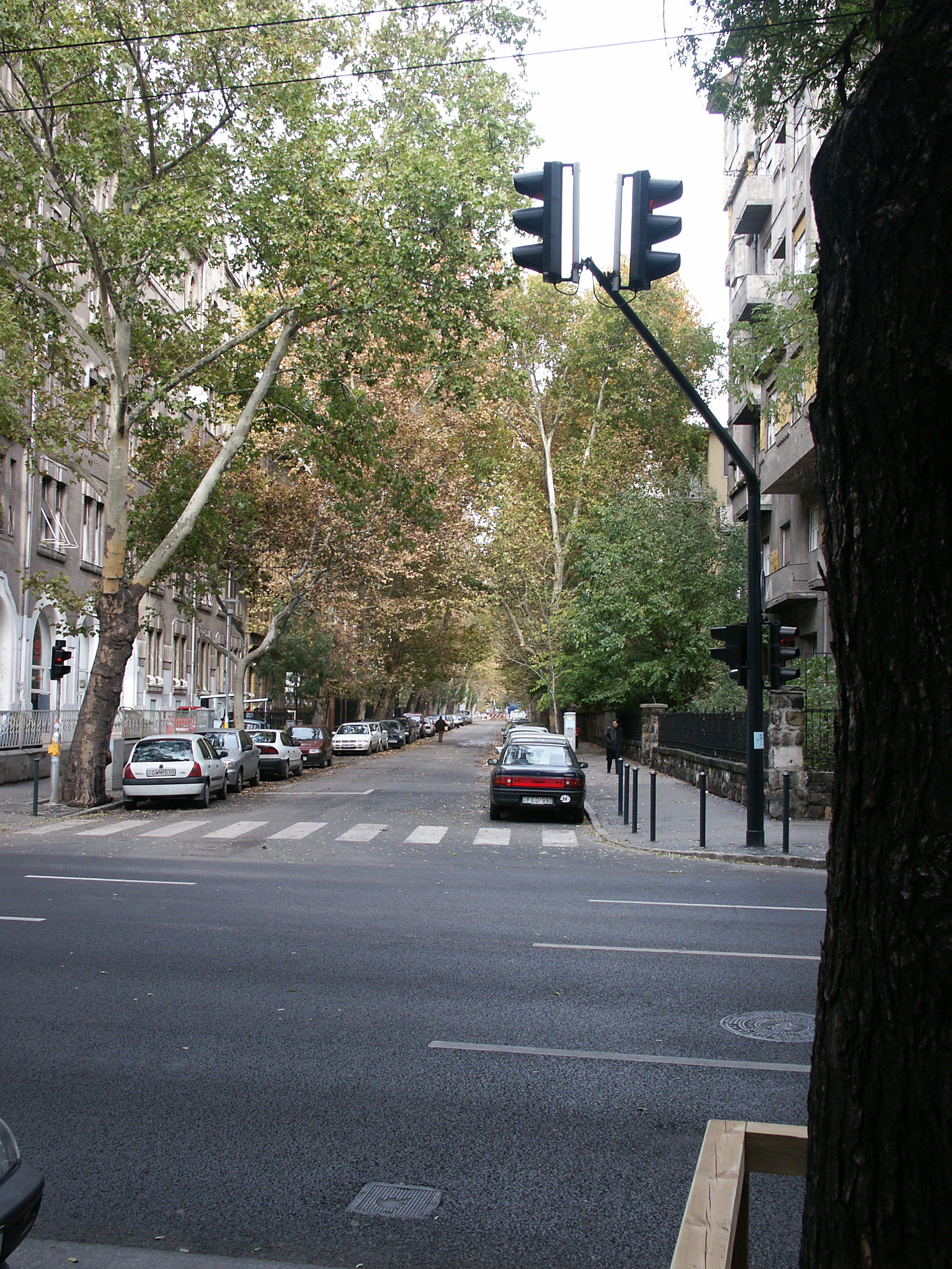PICT2416.jpg