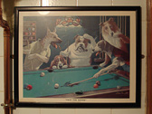 DSC00393.jpg