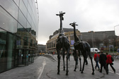 IMG_3587.jpg