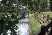IMG_3632.jpg