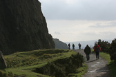 IMG_3771.jpg