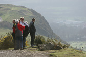 IMG_3775.jpg