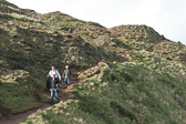 IMG_3803.jpg