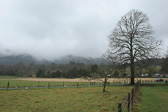 IMG_4004.jpg