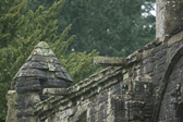 IMG_4061.jpg