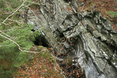 IMG_4083.jpg