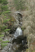 IMG_4087.jpg