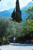 Evropa_1978-135.jpg