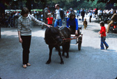 Evropa_1978-87.jpg