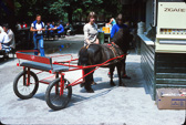 Evropa_1978-88.jpg