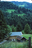 Evropa_1978-95.jpg