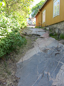 IMG_2509.jpg