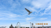 IMG_2539.jpg