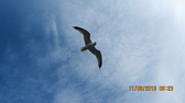 IMG_2541.jpg