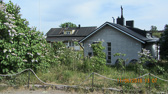 IMG_2584.jpg