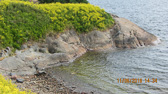 IMG_2599.jpg
