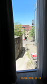 IMG_2655.jpg