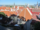 IMG_2675.jpg
