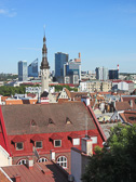 IMG_2677.jpg