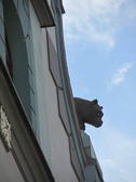 IMG_2691.jpg