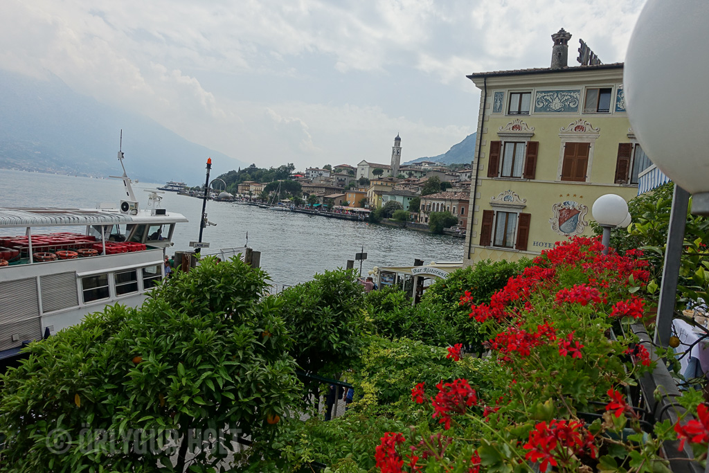 DSC01084.jpg
