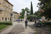 DSC00699.jpg