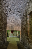 DSC00890.jpg