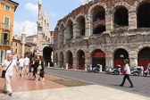 DSC00905.jpg