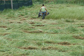 DSC00936.jpg