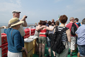 DSC00959.jpg