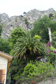 DSC01030.jpg