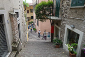 DSC01052.jpg