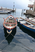 DSC01055.jpg