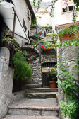 DSC01058.jpg