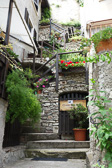 DSC01059.jpg