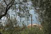 DSC01145.jpg