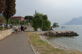 DSC01232.jpg