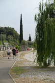 DSC01233.jpg