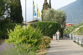 DSC01238.jpg