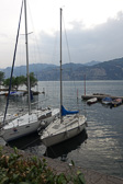 DSC01242.jpg