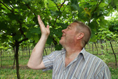 DSC01338.jpg