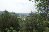 DSC01340.jpg