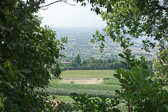 DSC01344.jpg