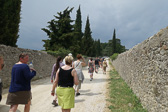 DSC01350.jpg