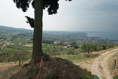 DSC01352.jpg