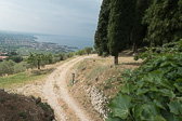 DSC01353.jpg