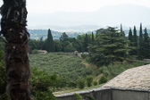 DSC01365.jpg