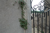 DSC01367.jpg
