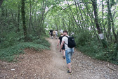 DSC01372.jpg