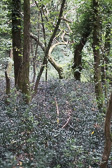 DSC01373.jpg